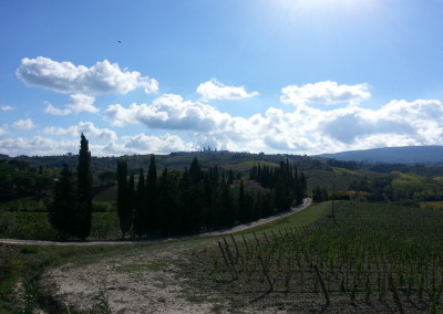 San Gimignano Landscape